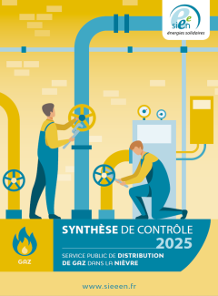 SYNTHÈSE DE CONTRÔLE GAZ 2025