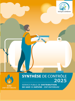 SYNTHESE DE CONTRÔLE DSP ANTARGAZ 2025